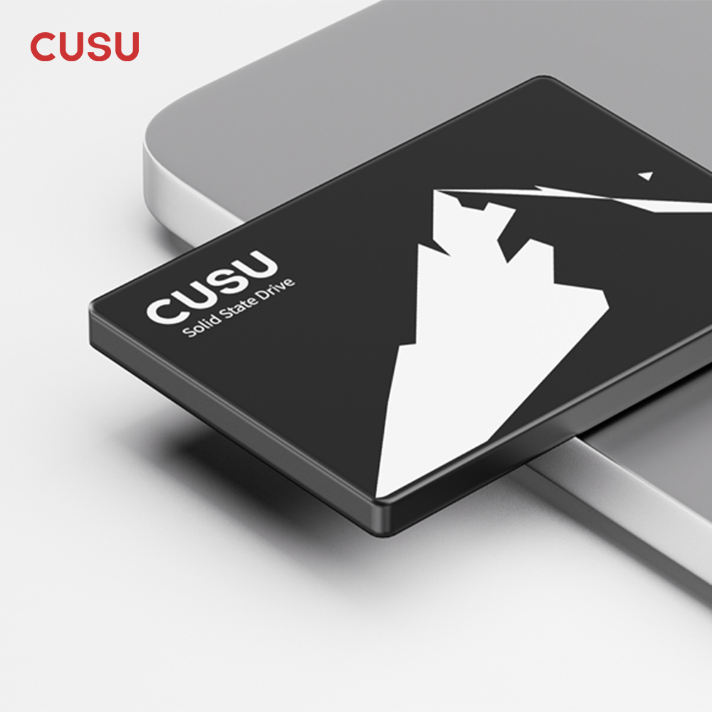 CUSU SSD 1TB 512GB 256GB 128GB - Ssd 500Gb recensie en prijs